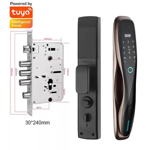 Tuş takımı ile WiFi akıllı kapı kilidi kolay kurulum anahtarsız giriş elektronik sürgü parmak izi ve şifre veri depolama seçenekleri - Product Image 1