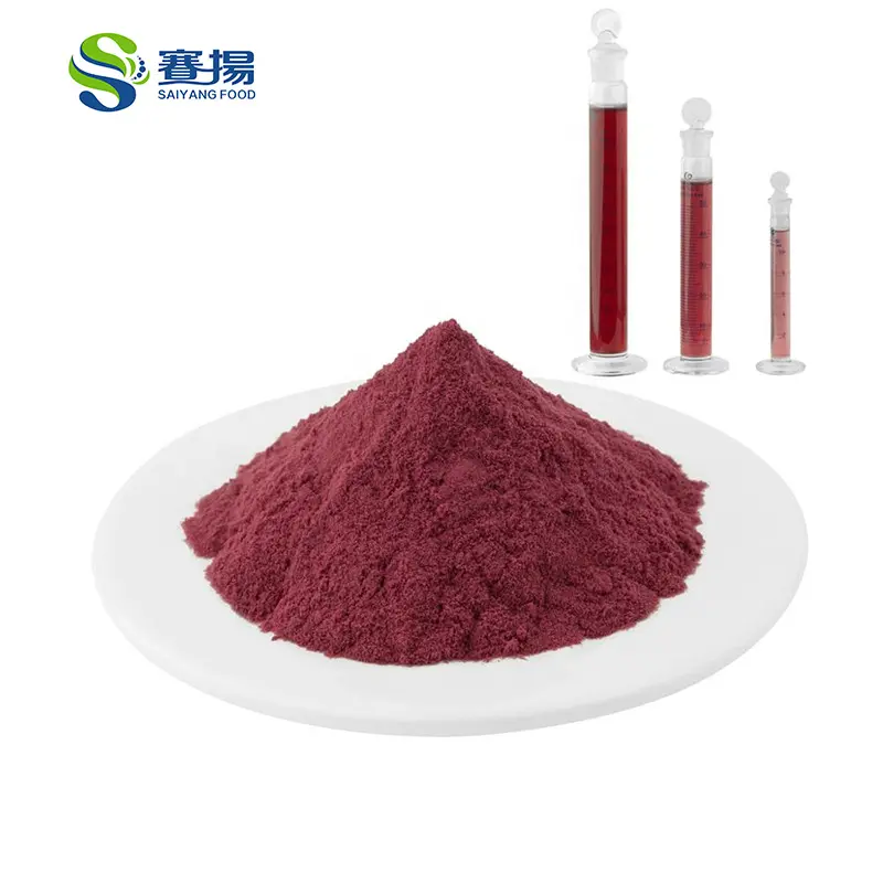 Zwarte Bes Extract Hot Selling 18% Anthocyanen Zwarte Bes Fruit Extract Poeder Zwarte Bes Extract