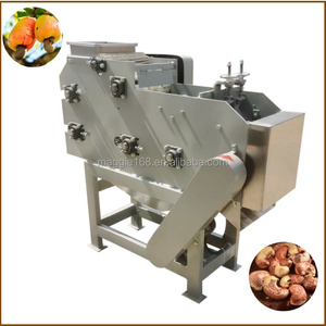 Máquina automática de procesamiento de anacardos de acero inoxidable, separador de núcleos de concha, máquina descascaradora de anacardos de Sudáfrica - Product Image 5