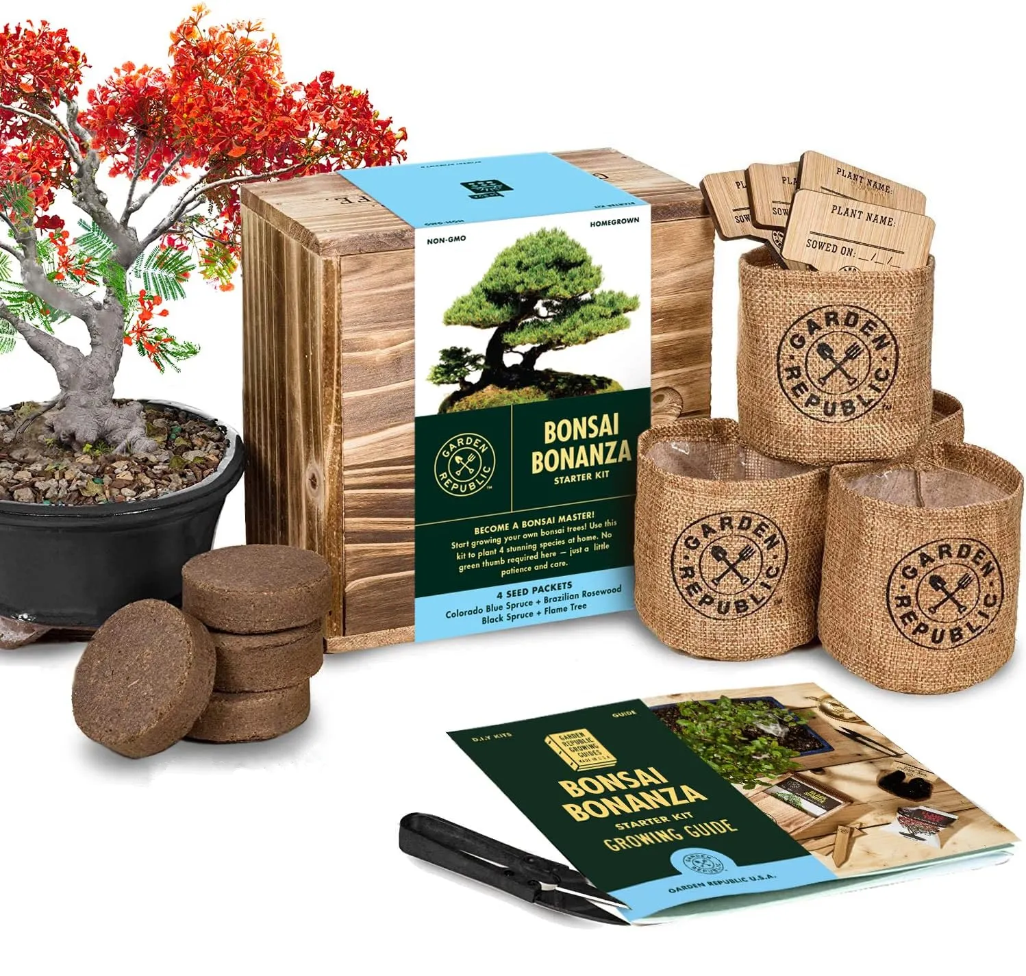 Bonsai ağacı başlangıç kiti bitki yetiştirme kiti Diy bitki kiti ahşap hediye kutusu ile erkekler kadınlar için yenilik hediye çocuklar