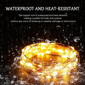 Holiday Lighting <strong>Led</strong> <strong>String</strong> <strong>Light</strong> 10 Meters <strong>With</strong> 100 <strong>Led</strong> Battery Copper Wire Fairy Christmas <strong>Lights</strong> <strong>with</strong> <strong>Remote</strong> <strong>Control</strong> - Product Image 5