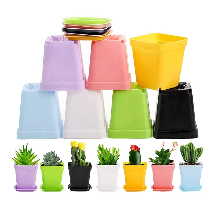 Vaso de mudas de plástico, vaso para plantas quadrado colorido, recipiente para o seu quarto, escritório para jardim