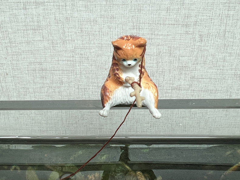 Gatto leopardo pesca