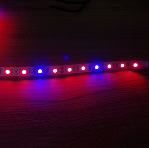 LED Grow Light 12 V 60LED/M 8 W 5050 3:1 4:1 5:1 LED Grow Light สำหรับในร่มเรือนกระจกแสง - Product Image 2