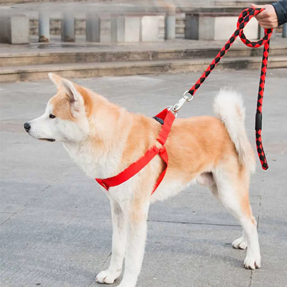 3 1 örgülü yuvarlak halat naylon köpek tasma evcil hayvan yaka koşum ve tasmalar