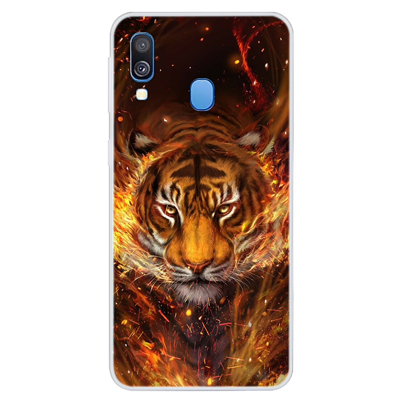 Tigre