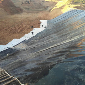 Kamboçya'da biyogaz Digester için 1.5mm HDPE LLDPE LDPE geomembran endüstriyel tasarım HDPE membran en iyi fiyat - Product Image 6