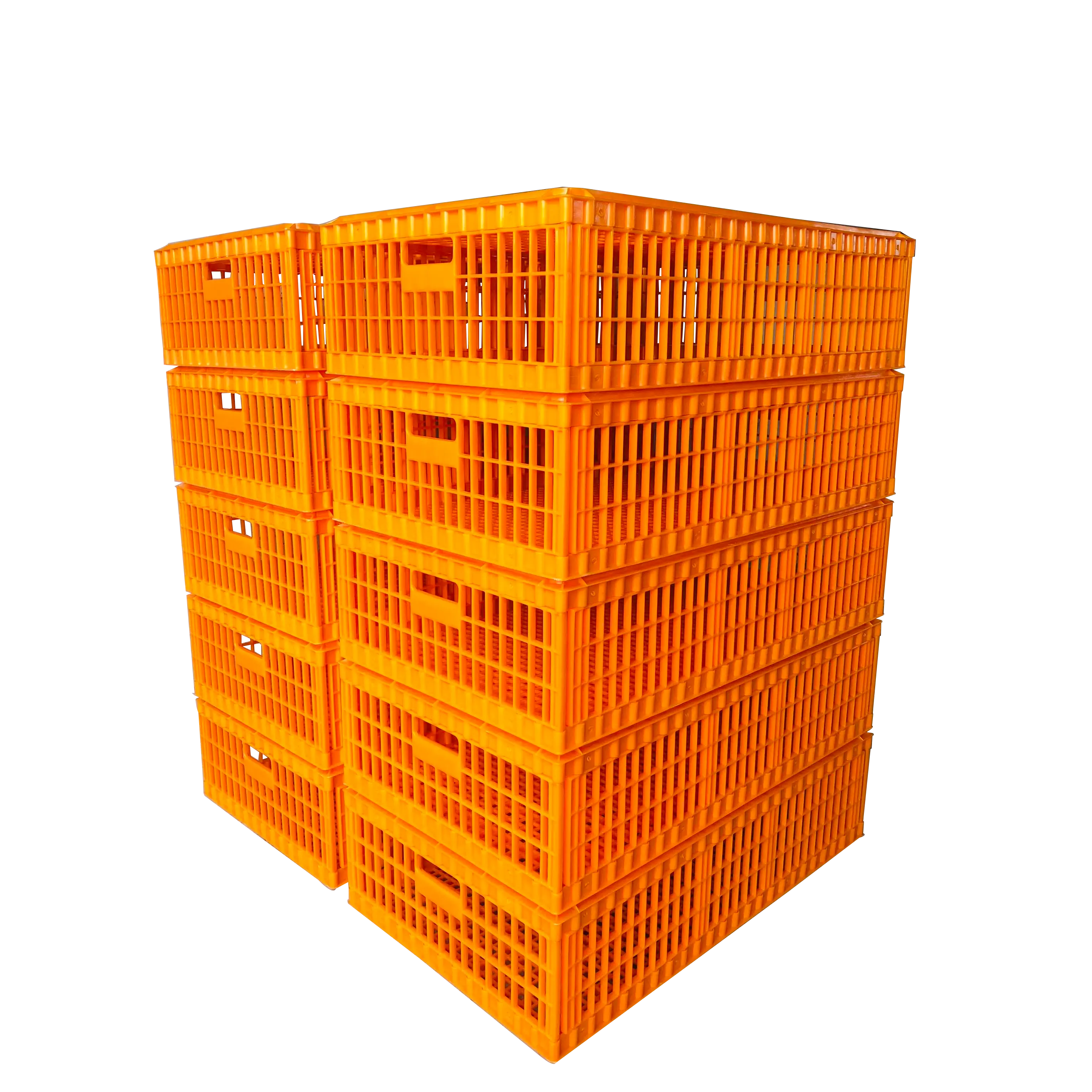 Cajas de plástico para transporte de pollos y naranja, venta de cajas de plástico para transporte de pollos