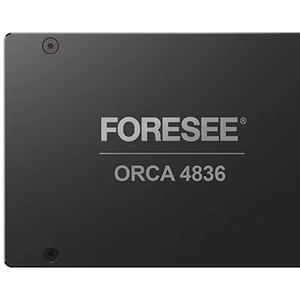 FORESEE ORCA Enterprise NVMe SSD der Serie 4836 für die Erstellung eines leistungs starken Speichers der Enterprise-Klasse - Product Image 1