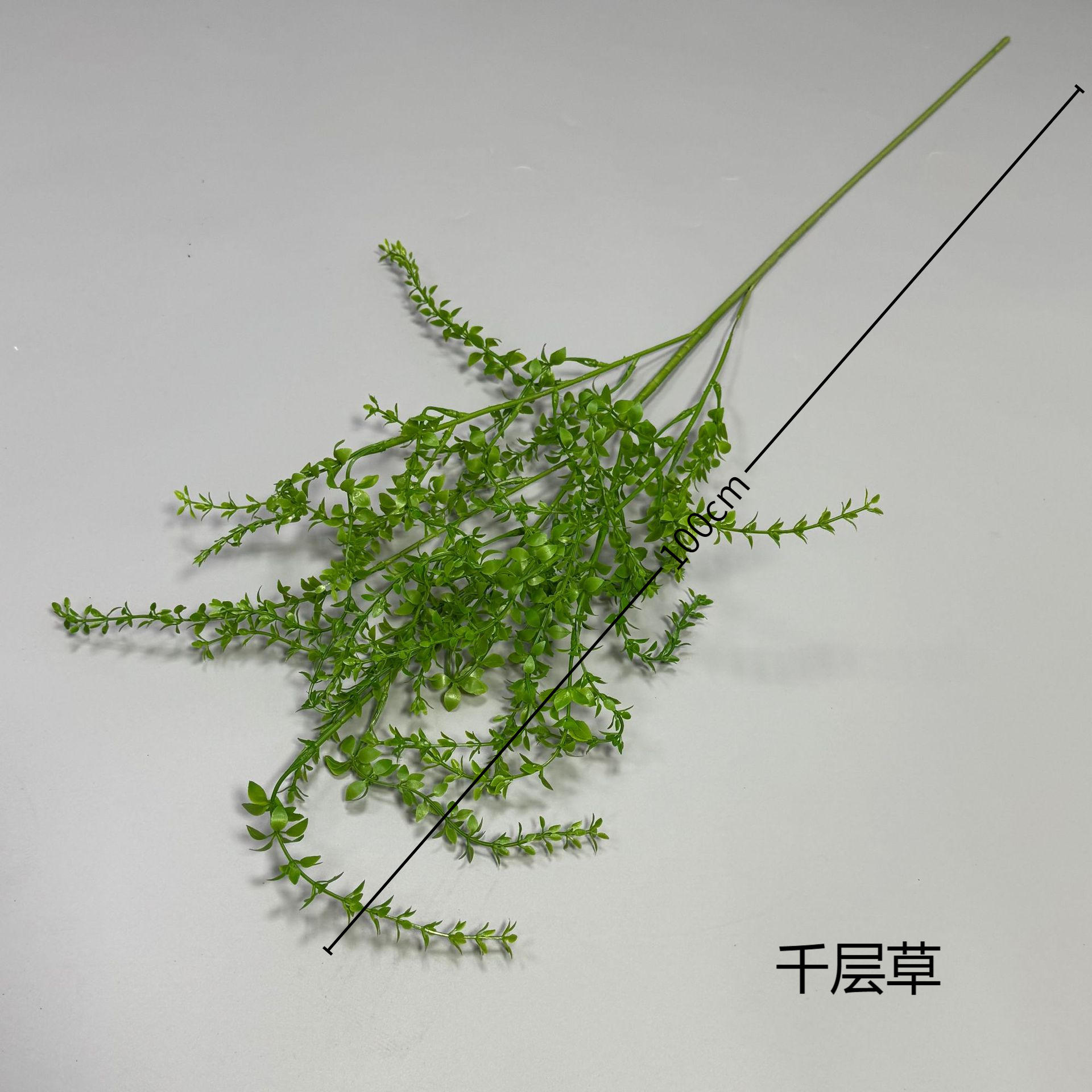 Herbe à mille couches vert pâle