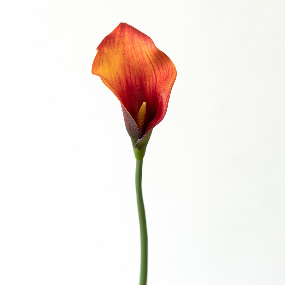 5# orange