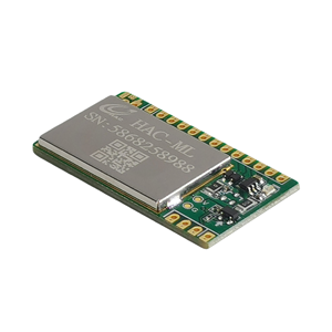 LoRa/LoRaWan-Modul für IOT Smart Wasserzähler/Gaszähler kann kunden spezifisches Modul