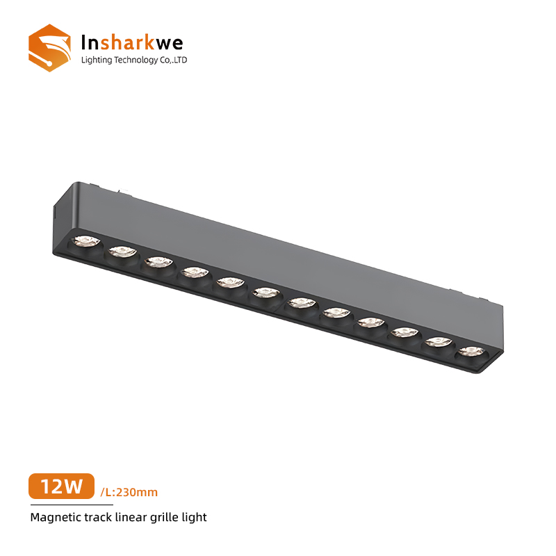 Lumière de grille linéaire noire 12T 12W