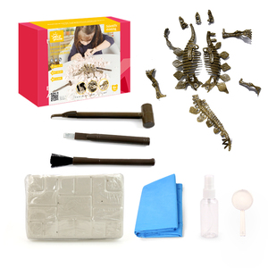 动物和恐龙化石模型玩具套装，恐龙骨架雕塑其他儿童教育玩具，剑龙恐龙挖掘套件 - Product Image 2