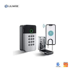 Liliwise Safe Código digital App Control Keybox Ocultar Cerradura DE SEGURIDAD Montado en la pared Almacenamiento portátil Smart Key Box