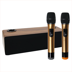 Lebeth TV-32 10W Hifi Nhà <span class=keywords><strong>Karaoke</strong></span> Loa Với Xách Tay Mini Micro Không Dây Cho Nhà <span class=keywords><strong>Karaoke</strong></span> Bên - Product Image 1