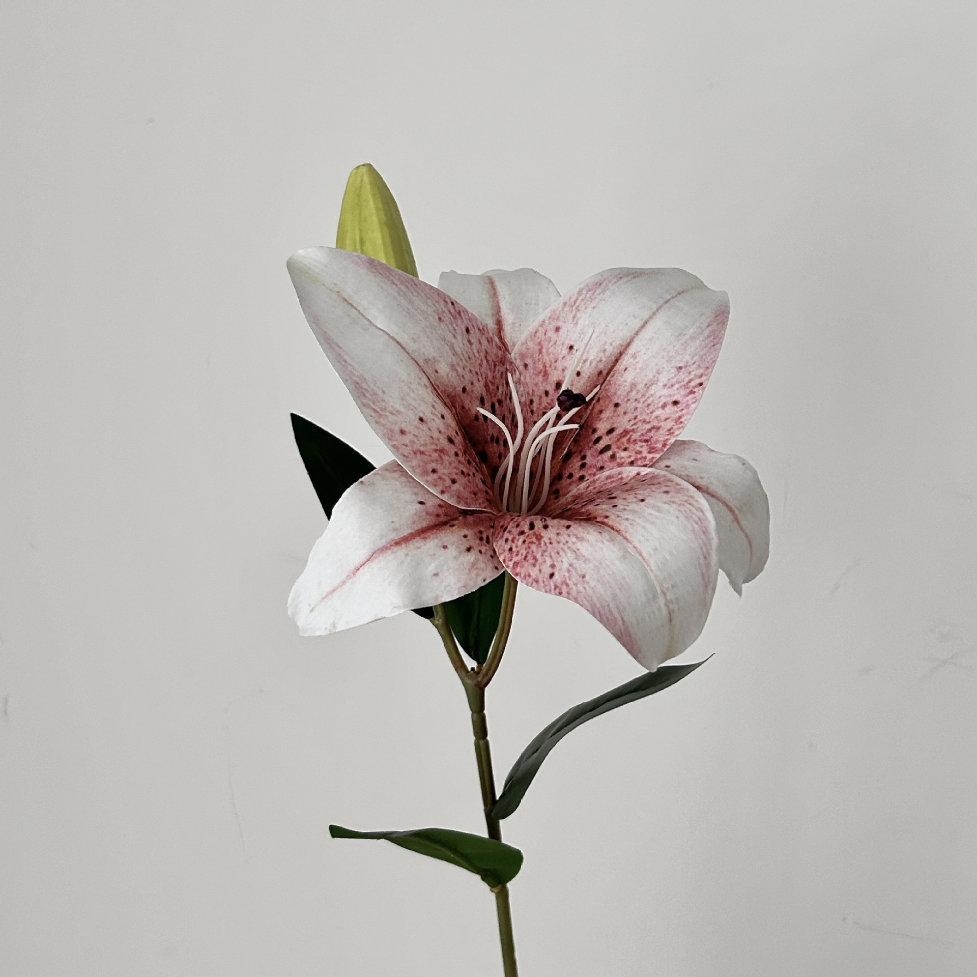 Pink and white