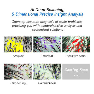 Meiboyi Desktop Ai Scalp Analyzer Met 23.8 Inch Touchscreen Vervangbare Lens Haaranalyse Machine Schoonheidssalon Kliniek - Product Image 6
