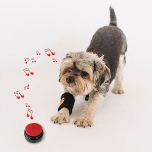 Personalized <strong>Customized</strong> Educational Toys Sound <strong>Button</strong> for Kids Factory Wholesale Funny Sound <strong>Button</strong> for Pet Training - Product Image 3