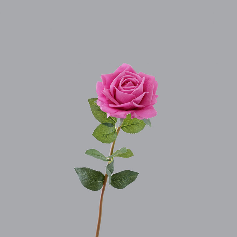 Rose rouge