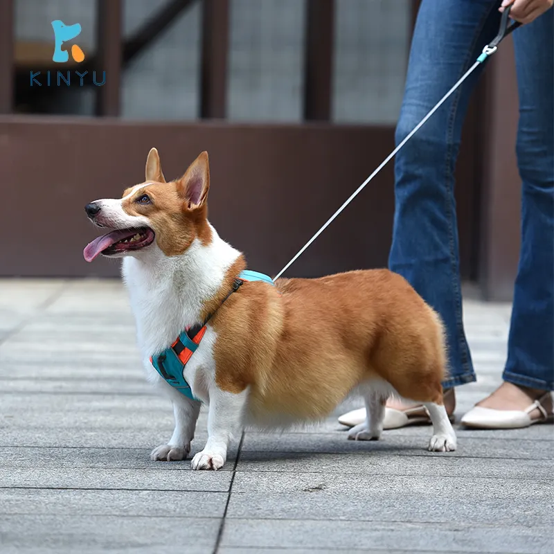 Kinyu asli baru 2.0 lipat bernapas tahan air reflektif nilon semua dalam satu tidak ada tarik tali anjing dan Set tali Harness