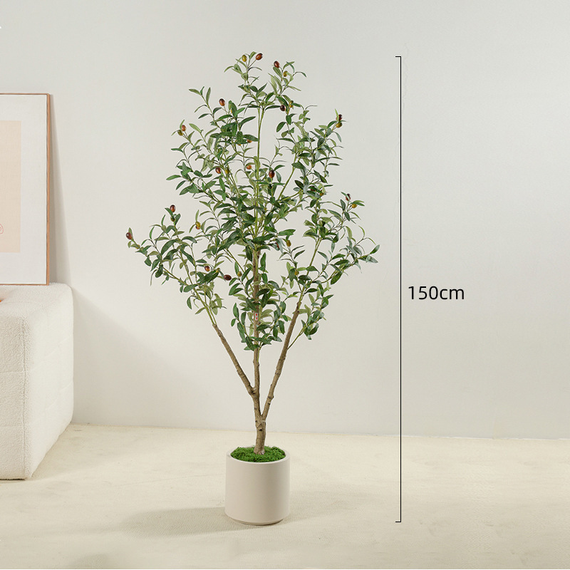 1,5 mètres avec bassin blanc démontage olive