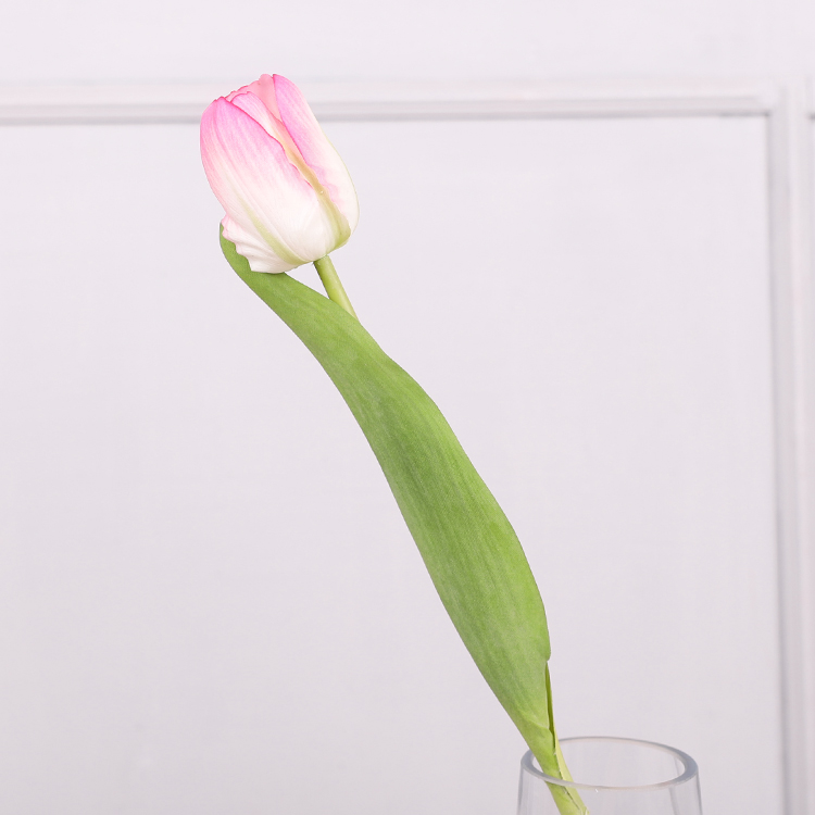Borde rosa