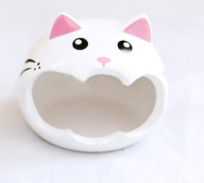 Chat blanc L