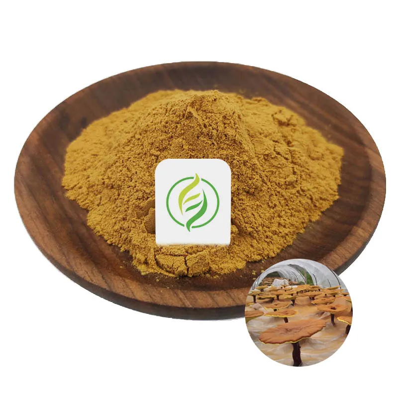 Wholesale High Quality Ganoderma Lucidum Extract 50% Polysaccharides Reishi Mushroom Extract Glossy Ganoderma Extract