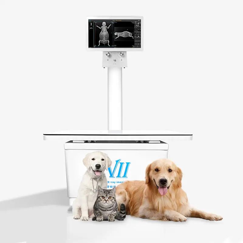 Equipamento de raios X para diagnóstico de animais, cães/gatos, feridos e feridos, inspeção e exame
