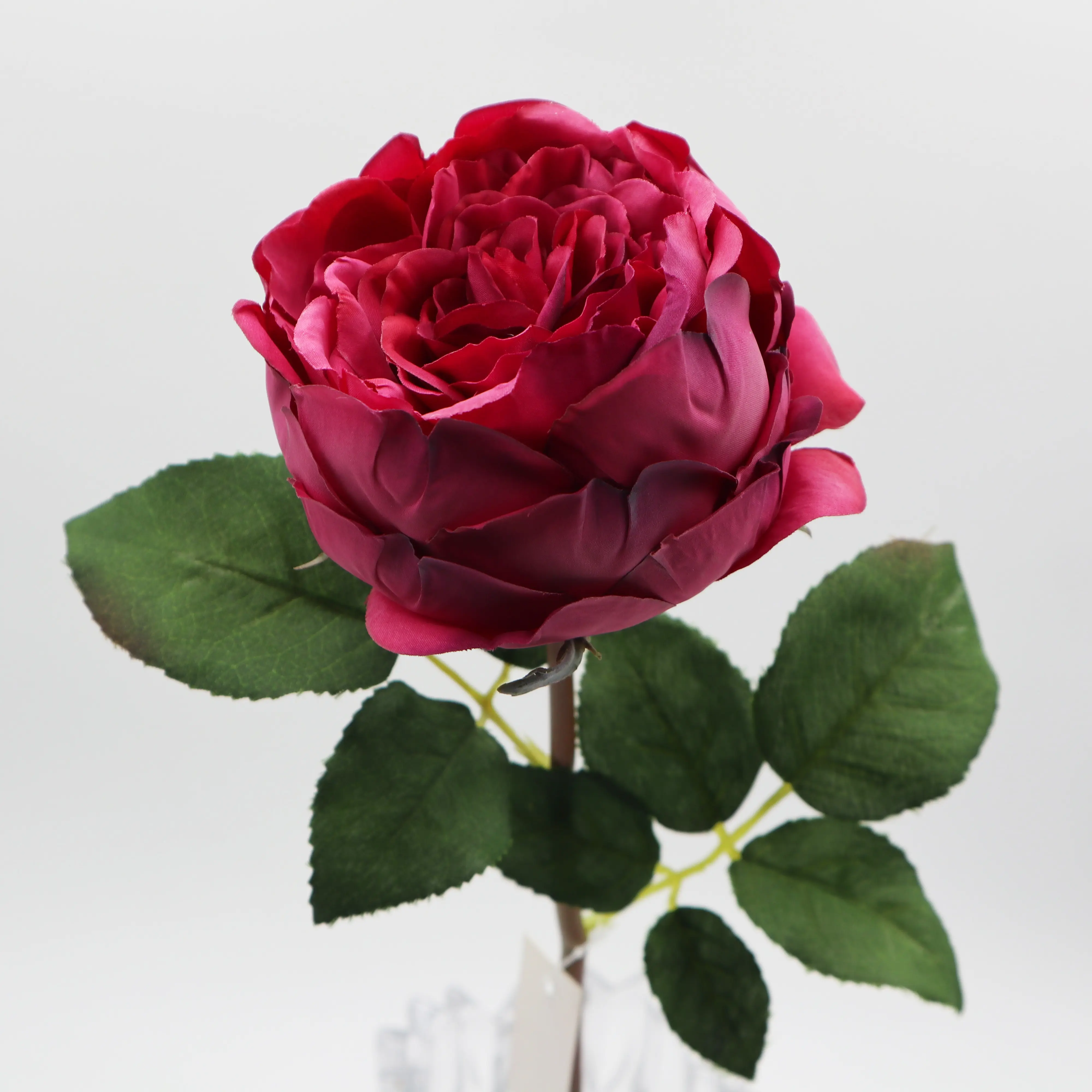 Groothandel Hoge Kwaliteit Kunstzijde David Austin Rose Kool Roos Bloem Real Touch Faux Bruiloft Decoratie Nieuwe Aankomst