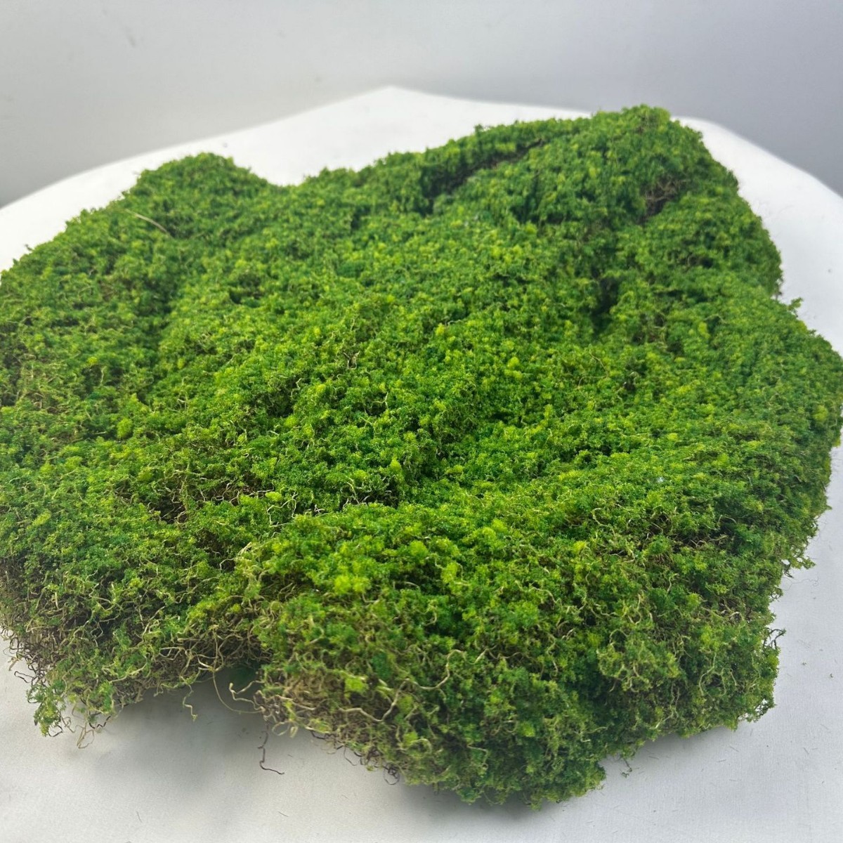 Sculpture de mousse 45*45CM