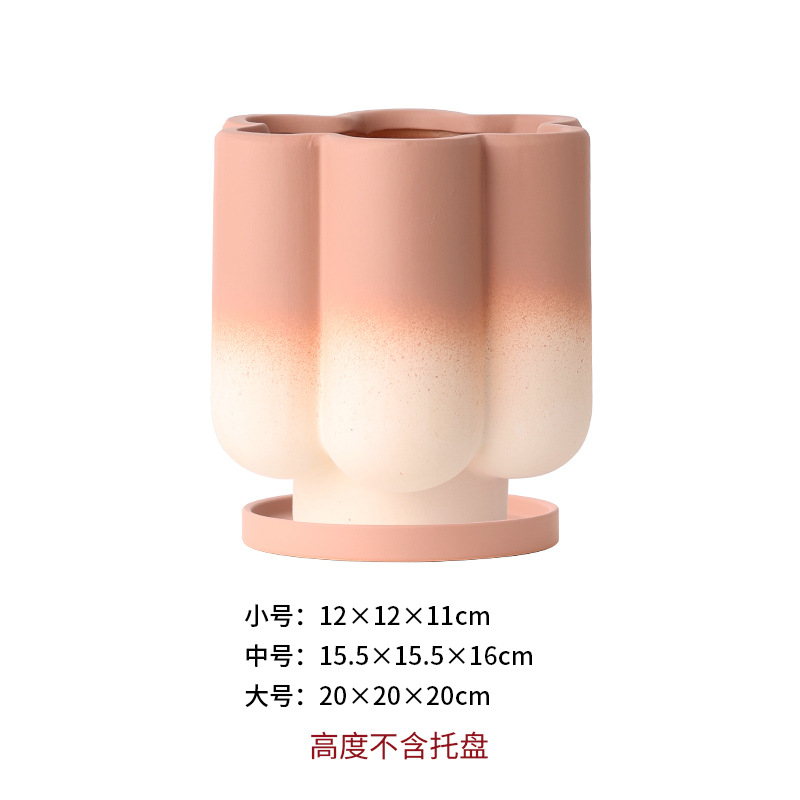 Champagne Six petals winter jasmine-powder