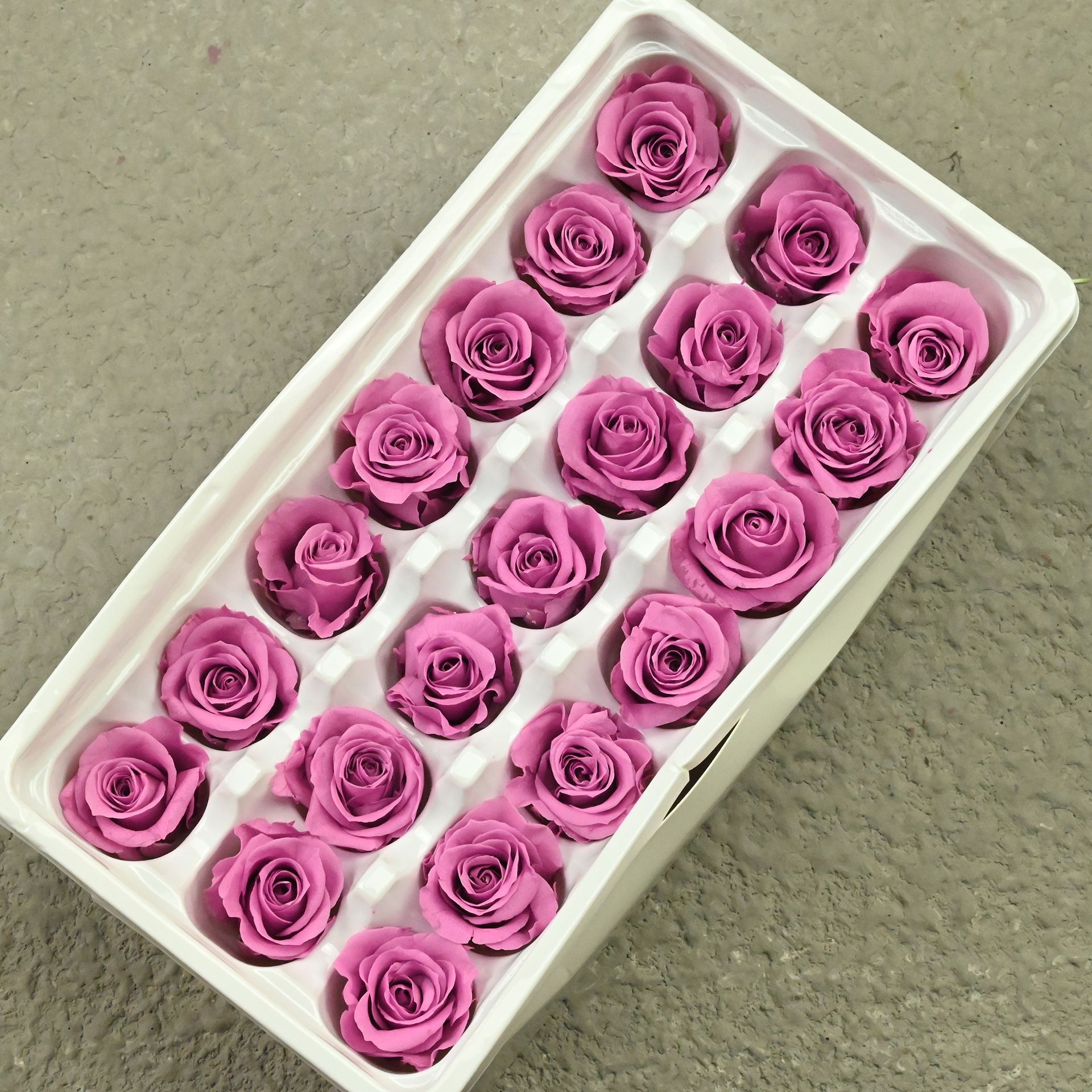 B mei 2-3 taro purple-21 or 24