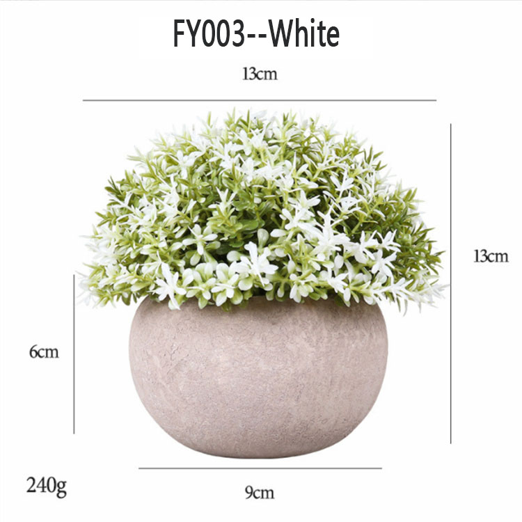 FY003 -- Blanc