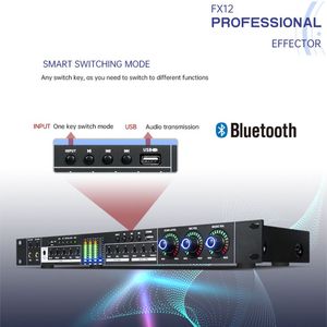 Paulkitson Effector FX12 Professional Effector <strong>Dsp</strong> Digital Led <strong>Display</strong> Screen Blue Tooth Karaoke Audio Processor - Product Image 2