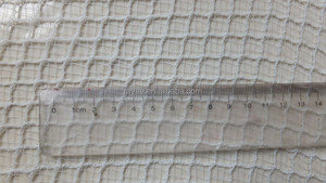 EU &amp; USA Market 100% Virgin HDPE apple <strong>Tree</strong> Anti <strong>Hail</strong> <strong>Net</strong> - Product Image 6