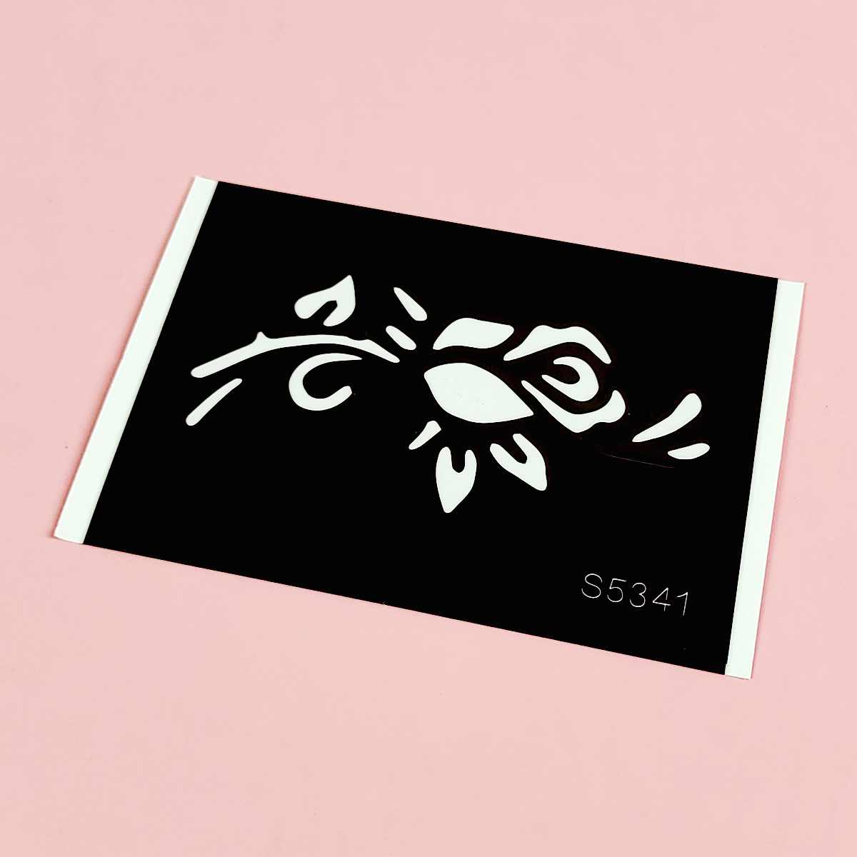 S5341 S5341