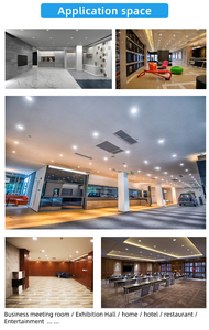 RONSE tavan ışıkları Led Downlight tavan gömme Led ampul aşağı ışık 10w 20w 30w 40w 50w 60w - Product Image 5