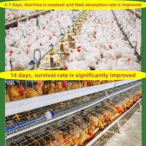 リマブロイラー飼料添加物40% タンパク質含有量飼料ビタミン、ミネラル、栄養補助食品混合飼料添加物鶏肉 - Product Image 4