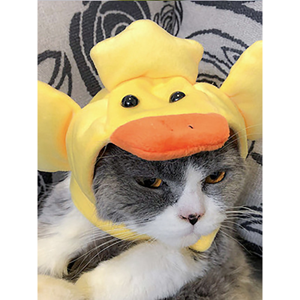 Pato b05304