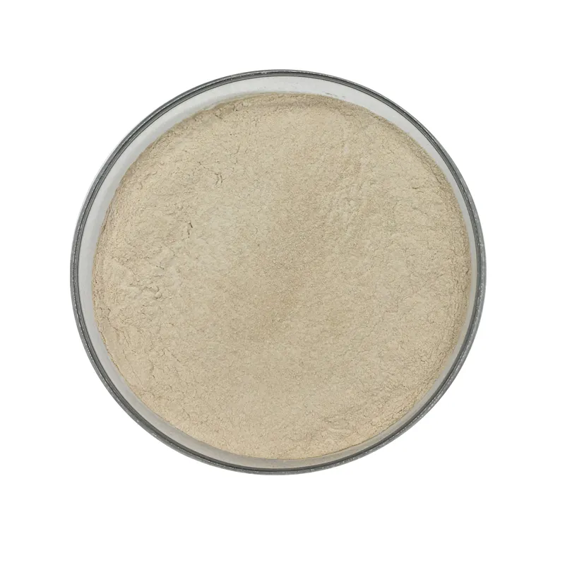 Protéase alcaline extraite de bacillus licheniformis