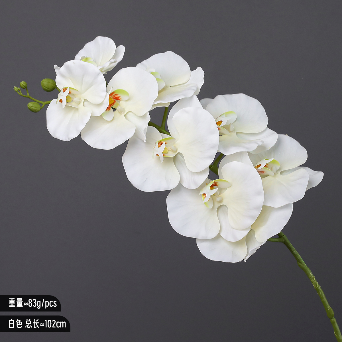 Blanco