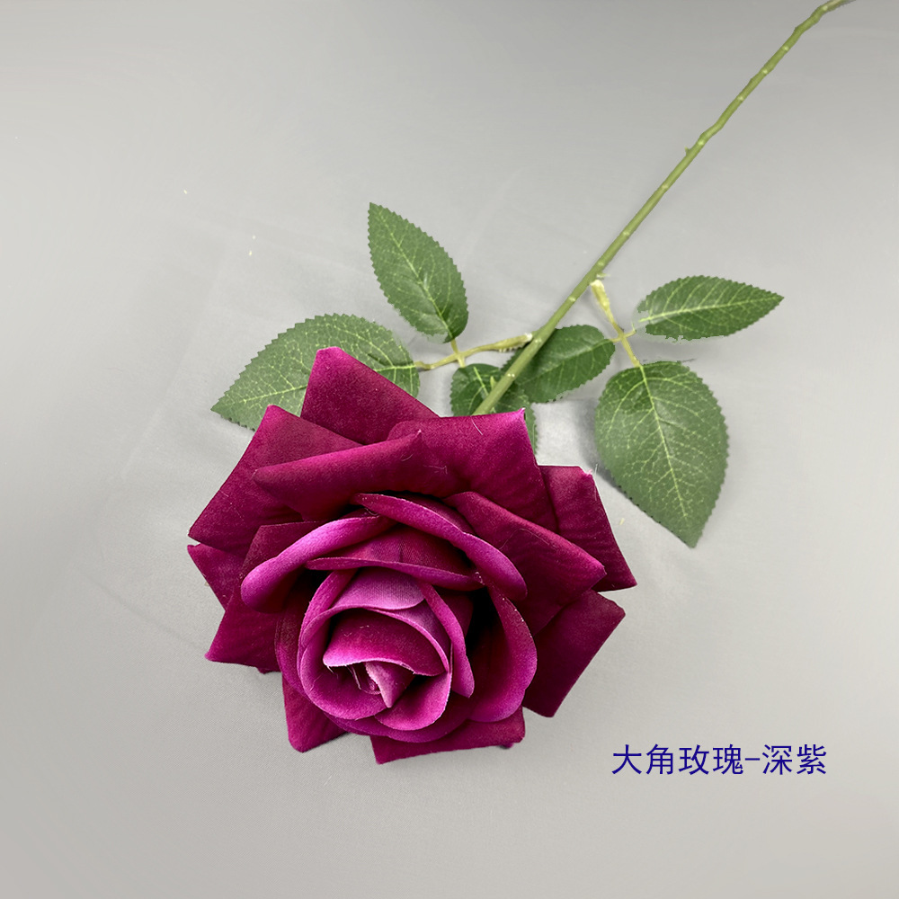 Rosa con cuernos grandes - Púrpura intenso