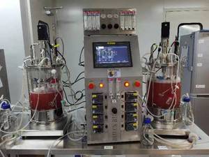 Bioréacteur de laboratoire pour cellules de mammifères 2 jeux 20L Bioréacteur à double verre Fermenteur de culture cellulaire BLBIO-GJ-2 - Product Image 2