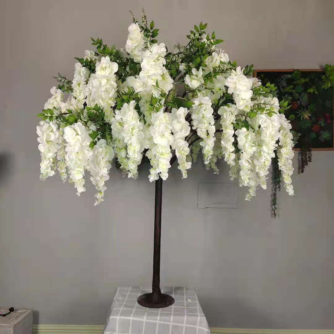 wistaria tree