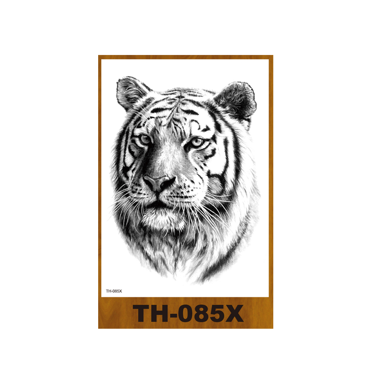 TH-85X