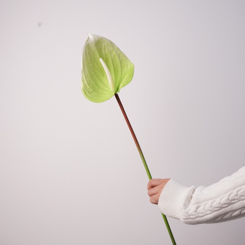 Gomme souple anthurium-vert