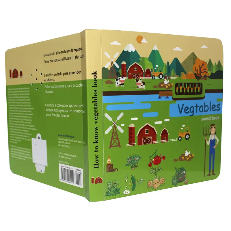 Özel baskılı tasarım çocuk İngilizce ders kitapları kitaplar çocuklar için eğitim sihirli kitap Set
