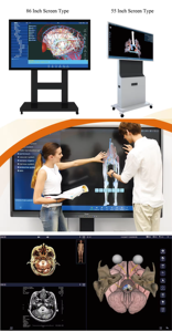 <strong>Human</strong> Virtual Anatomage 3D Anatomy Table Digital <strong>Human</strong> Body Virtual Autopsy Dissection Table for School Teaching - Product Image 6